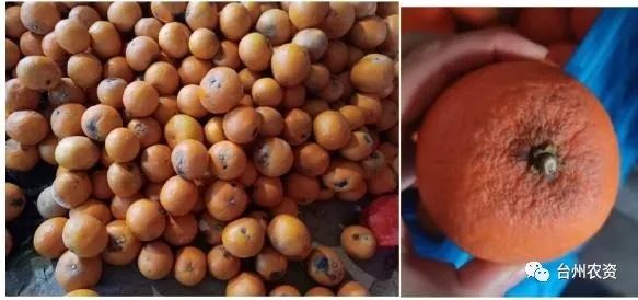 1675672447781672.jpg 640 (52).jpg